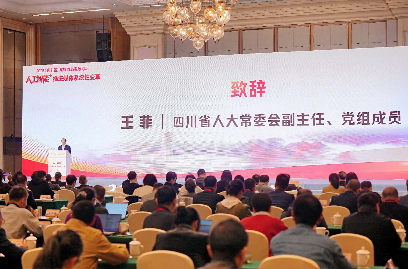 四川省人大常委會副主任、黨組成員 王菲